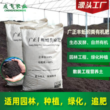 黑土沃野 樹木種植經營的可持續(xù)之路