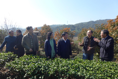 福建省臺(tái)聯(lián)赴漳州調(diào)研兩岸融合發(fā)展工作，聚焦農(nóng)副產(chǎn)品銷售新路徑