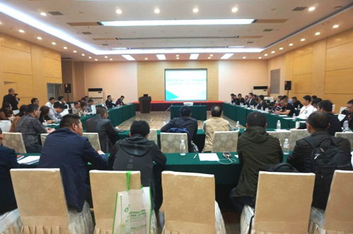 創(chuàng)新驅(qū)動，聚勢未來 新材料技術(shù)引領(lǐng)塑料行業(yè)新變革